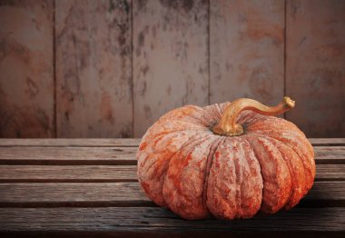 ahşap üzerinde kabak.