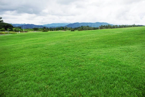 Zielony trawnik z nieba. — Zdjęcie stockowe