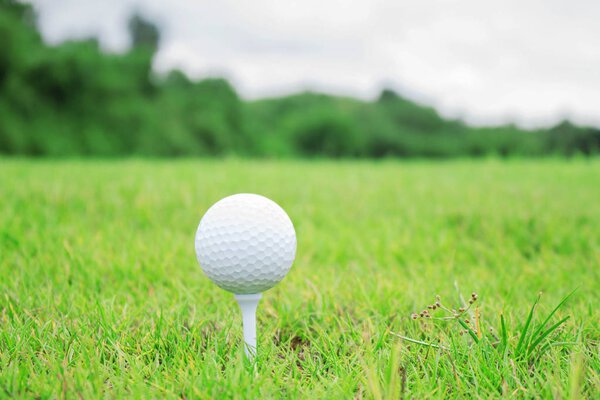 Golf ball on grass.
