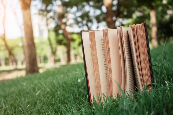 Bücher auf Gras. — Stockfoto