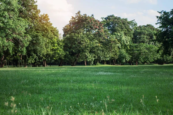 Lawn in the park with sky. — Stock Photo, Image