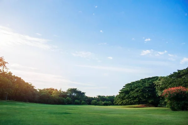 Lawn with blue sky. — Stock Photo, Image