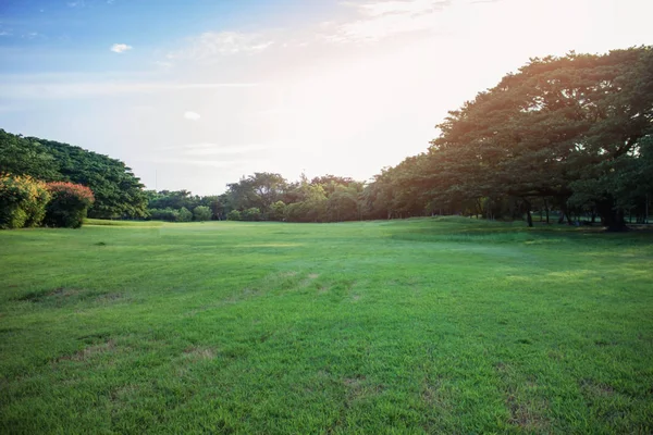 Gazon met verfrissende in park. — Stockfoto