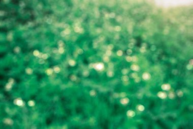 Yeşil arka plan üzerinde renkli bokeh.