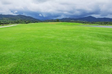 Tepe üzerinde yeşil çim.