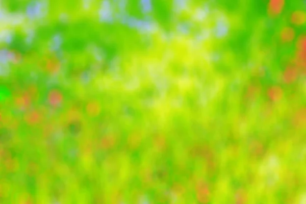 Gräs med oskärpa bakgrund. — Stockfoto