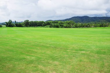 Bahçede çim kesme.