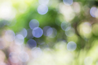 Güneş ışığı, güzel bokeh.