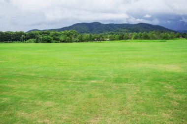 Çimlere ve doğanın güzelliği ile Dağları.