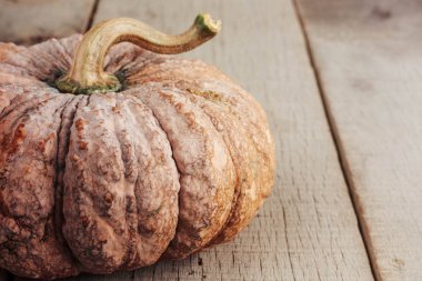 ahşap üzerinde kabak.