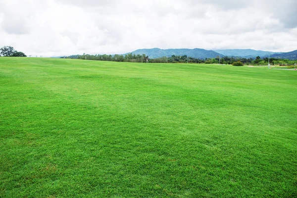 Lawn with mountain background. — Stock Photo, Image