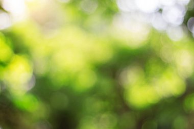 Bokeh doğal ışık ile.