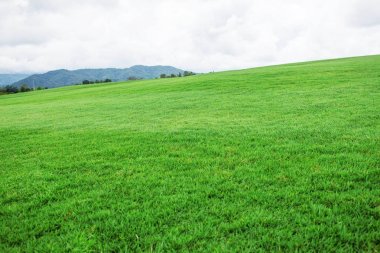 Tepe Dağ arka plan üzerinde çim.