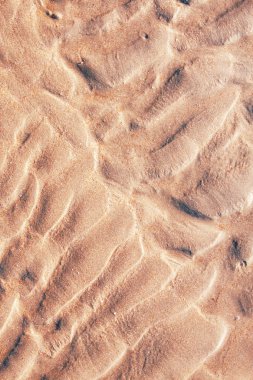 Sandy beach arka plan detaylı yüzeyli.