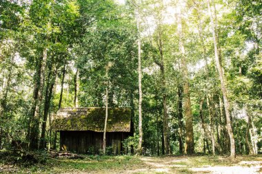 Ormandaki ahşap ev.