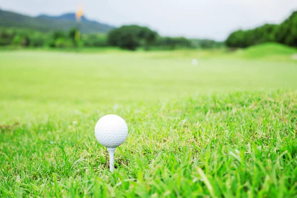 Mingea de golf pe iarbă . — Fotografie, imagine de stoc