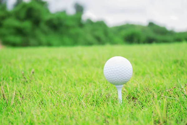 Golfboll med grönt i naturen. — Stockfoto