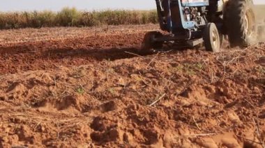 Çiftlik traktörü tarlayı üzerinde.