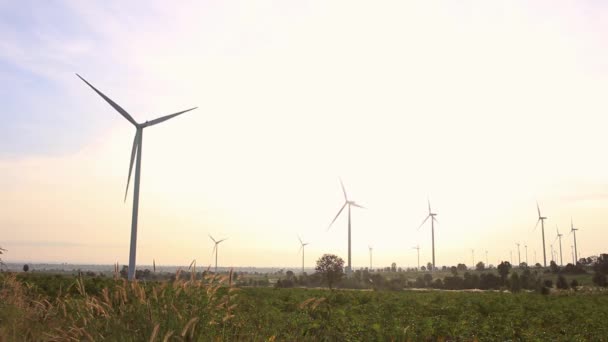 Sol Viento Soplando Hierba Campo Las Turbinas Eólicas — Vídeo de stock