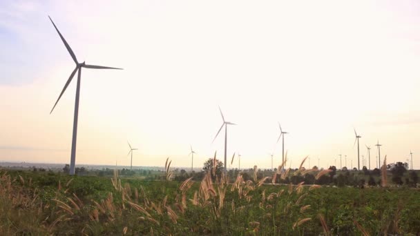 Windturbines Landschap Met Weide Bij Zonsopgang — Stockvideo