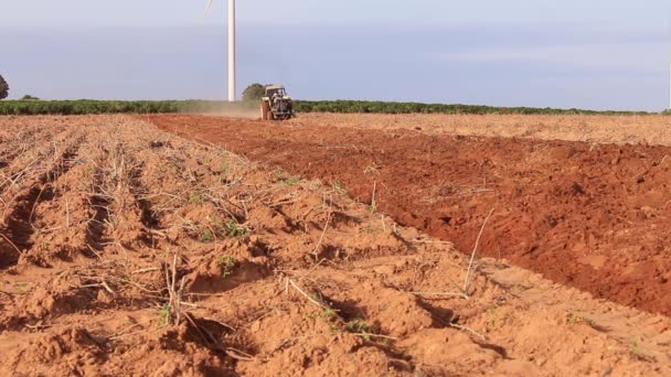 Traktör Tarım Arazisi Çiftçilik — Stok video