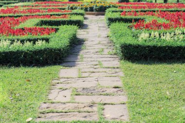 Bahçe ve taş yürüyüş yolları.