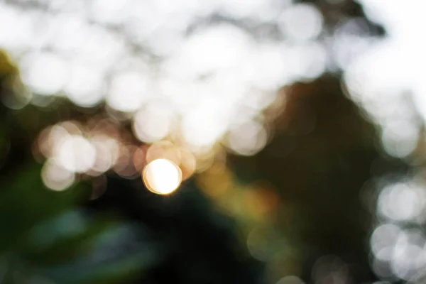 Bokeh met zonlicht van natuurlijke. — Stockfoto