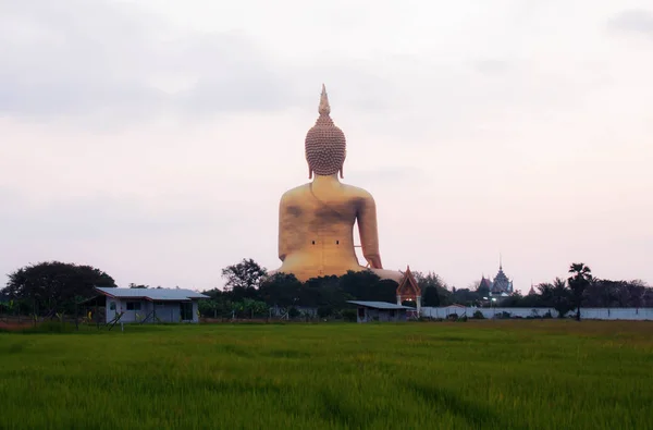 Buddha a mező. — Stock Fotó