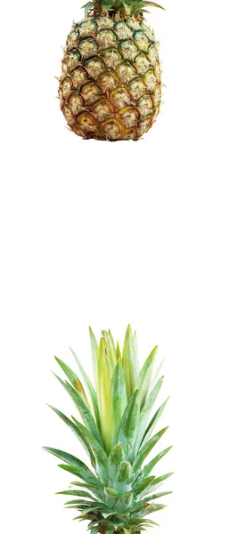 Ananas met witte achtergrond. — Stockfoto