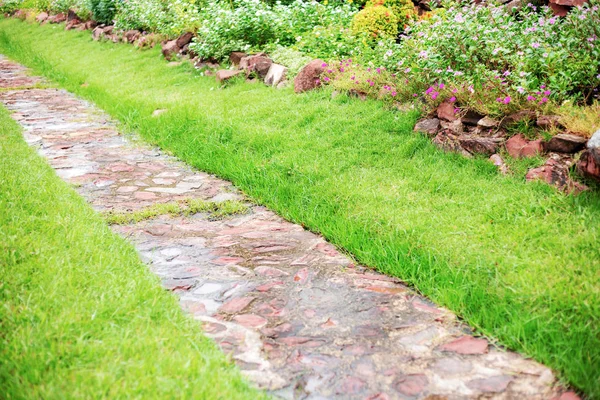 Walkway on lawn with sunrise. — Stock Photo, Image