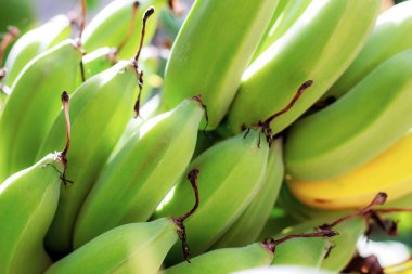 Doku arka planlı muz.