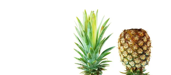 Beyaz arkaplanda ananas. — Stok fotoğraf