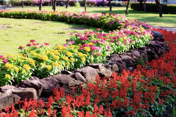 Flower of decoration in garden. — ストック写真