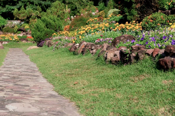 Pathway in the garden. — Stock Photo, Image