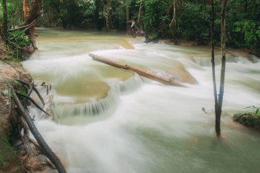 Tayland ilkbaharında şelale ve odun.