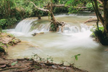 Tayland 'ın yağmurlu mevsiminde ormandaki şelale.