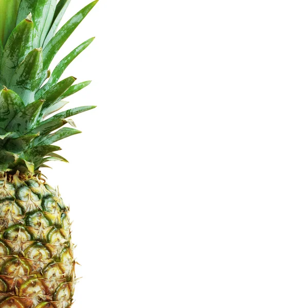 Ananas Met Het Wit Van Achtergrond — Stockfoto