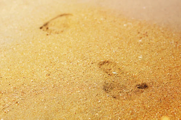 Footprints Sand Beach Sunlight — Stock Photo, Image