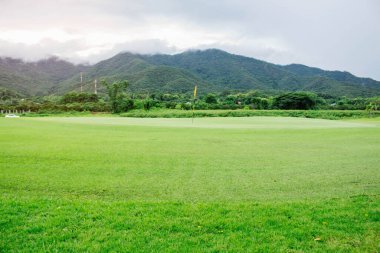 Doğa ve dağlar üzerine yeşil golf sahaları.