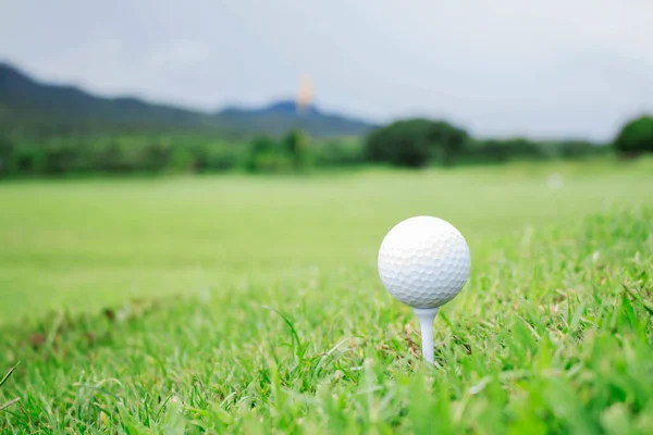 Pelota Golf Césped Verde Parque —  Fotos de Stock