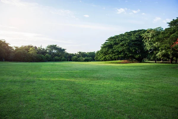 Rasen Garten Mit Himmel Abend — Stockfoto