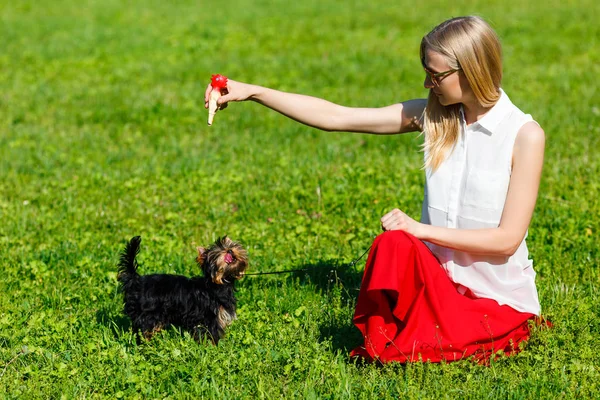 Dog and his owner - Cool dog and young women training in a park - Concepts of friendship,pets,togetherness. — Stock Photo, Image