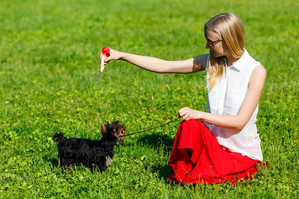 Dog and his owner - Cool dog and young women training in a park - Concepts of friendship,pets,togetherness.