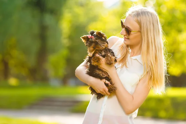 Dog and his owner - Cool dog and young women having fun in a park - Concepts of friendship,pets,togetherness