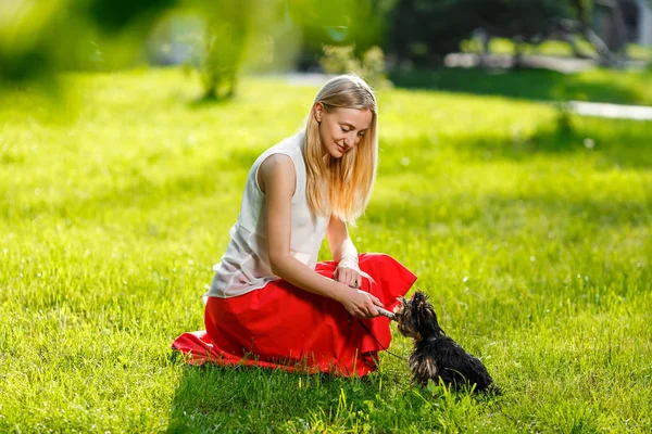 강아지와 그의 소유자-멋진 강아지와 공원-우정, 애완 동물, 공생의 개념에서에서 훈련 하는 젊은 여자 — 스톡 사진