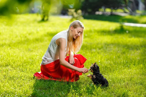 Perro y su dueño - Perro fresco y las mujeres jóvenes que entrenan en un parque - Conceptos de amistad, mascotas, unidad . — Foto de Stock