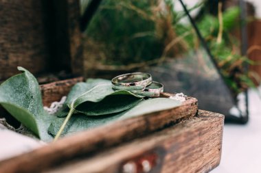 Alyans beyaz altın mezarda yosun dolu, 