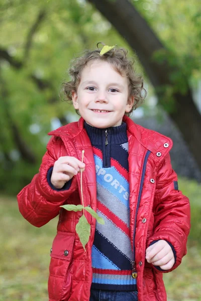 Piccolo riccio allegro ragazzo passeggiando nel bosco tra gli alberi e foglie gialle cadute in autunno — Foto Stock