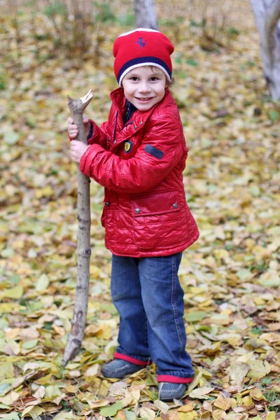 Portret van een gelukkig vreugdevolle kind in een hoed en een rode jas, jeans tegen een achtergrond van herfst bos en gele bladeren — Stockfoto