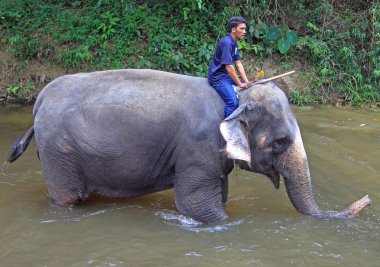 adam nehre fil banyo